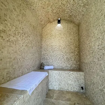 Villa La Bastide 5 Etoiles Saint Quenin - Pisicine - Jacuzzi Hammam Mont Ventoux Provence Vaison-la-Romaine